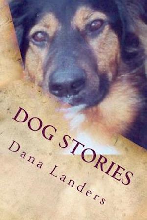 Dog Stories