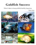 Goldfish Success