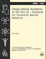 Consolidated Guidance