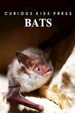 Bats - Curious Kids Press