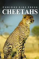 Cheetah - Curious Kids Press