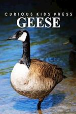 Geese - Curious Kids Press