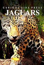 Jaguars - Curious Kids Press