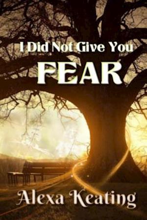 I Did Not Give You Fear