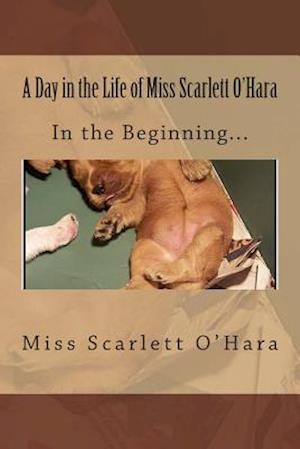 A Day in the Life of Miss Scarlett O'Hara