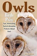 Owls