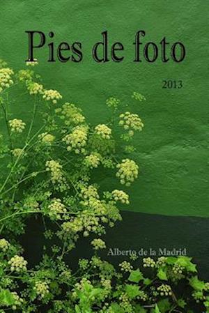 Pies de Foto 2013