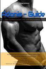 Adonis-Guide