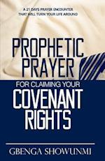 Prophetic Prayer for Claiming Your Covenant Rights