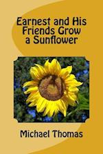 Earnest and His Friends Grow a Sunflower