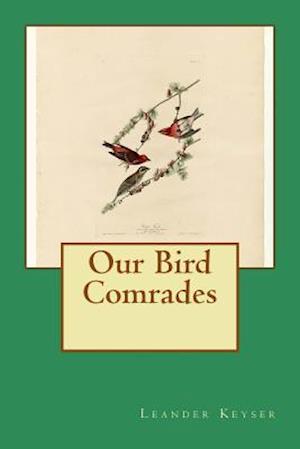 Our Bird Comrades