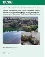 Removal of Nonnative Slider Turtles (Teachemys Scripta) and Effects on Native Sonora Mud Turtles (Kinosternon Sonoriense) at Montezuma Well, Yavapai C
