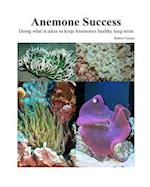 Success with Anemones