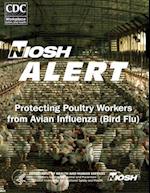 Protecting Poultry Workers from Avian Influenza (Bird Flu)