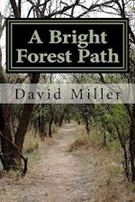 A Bright Forest Path