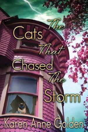 The Cats That Chased the Storm