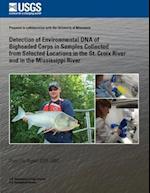 Detection of Environmental DNA of Bigheaded Carps in Samples Collected from Selected Locations in the St. Croix River and in the Mississippi River