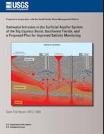 Saltwater Intrusion in the Surficial Aquifer System of the Big Cypress Basin, Southwest Florida, and a Proposed Plan for Improved Salinity Monitoring