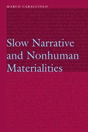 Slow Narrative and Nonhuman Materialities