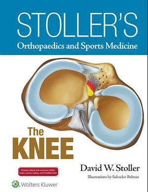 Stoller's Orthopaedics and Sports Medicine: The Knee