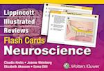 Lippincott Illustrated Reviews Flash Cards: Neuroscience