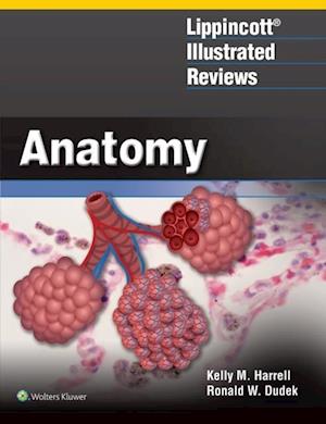 Lippincott(R) Illustrated Reviews: Anatomy