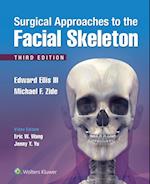Surgical Approaches to the Facial Skeleton