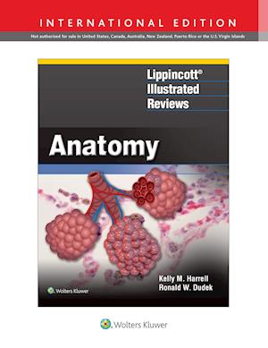 Lippincott (R) Illustrated Reviews: Anatomy