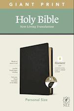 NLT Personal Size Giant Print Bible, Filament Enabled Edition (Red Letter, Genuine Leather, Black, Indexed)