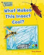 What Makes This Insect Cool?