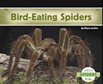 Bird-Eating Spiders