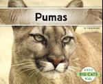 Pumas