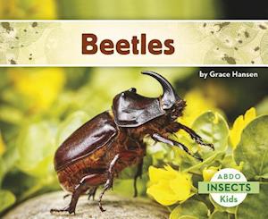 Beetles