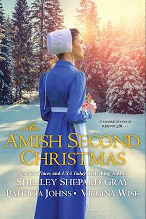 Amish Second Christmas