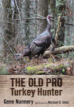 The Old Pro Turkey Hunter