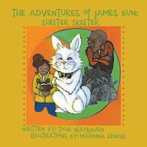 THE ADVENTURES OF JAMES BUN