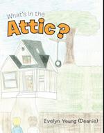 What'S in the Attic?