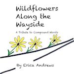 Wildflowers Along the Wayside