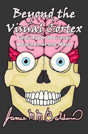 Beyond the Visual Cortex