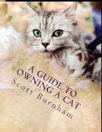 A Guide to Owning a Cat