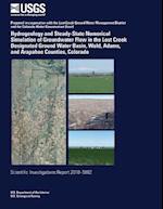 Hydrogeology and Steady-State Numerical Simulation of Groundwater Flow in the Lost Creek Designated Ground Water Basin, Weld, Adams, and Arapahoe Coun