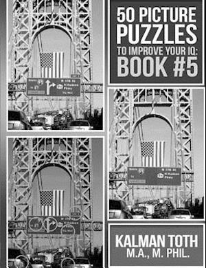 50 Picture Puzzles to Improve Your IQ