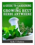 A Guide to Gardening and Growing Best Herbs Anywhere