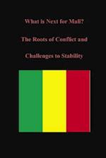 What Is Next for Mali? the Roots of Conflict and Challenges to Stability