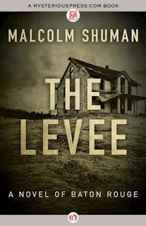 Levee