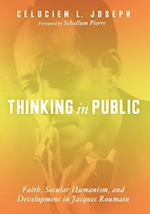 Thinking in Public