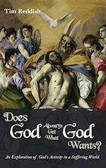 Does God Always Get What God Wants?
