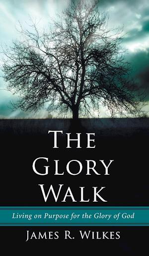 The Glory Walk