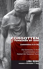 Forgotten and Forsaken by God (Lamentations 5