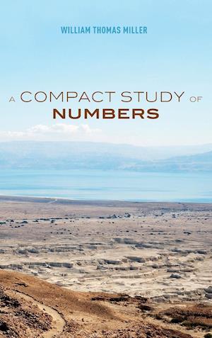 A Compact Study of Numbers